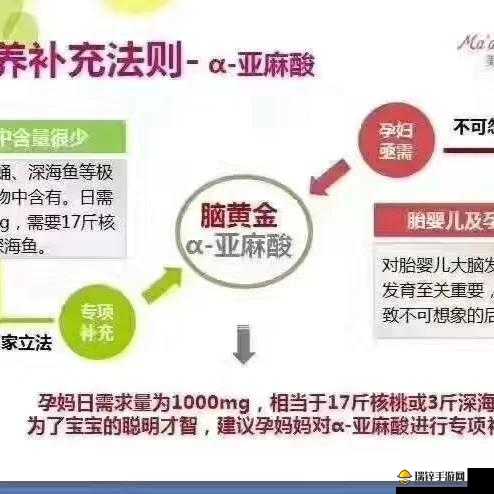 欧亚尺码专线欧州 B1B1：关于其详细介绍与重要作用分析